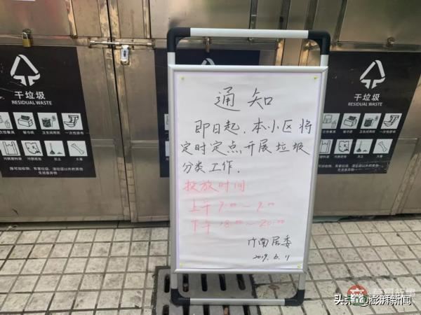 “逼瘋”上海人的垃圾分類背后，藏著中國人不知道的殘忍真相