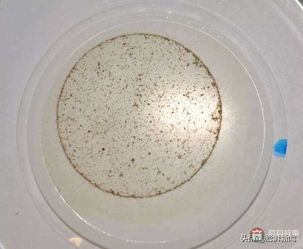 “逼瘋”上海人的垃圾分類背后，藏著中國人不知道的殘忍真相