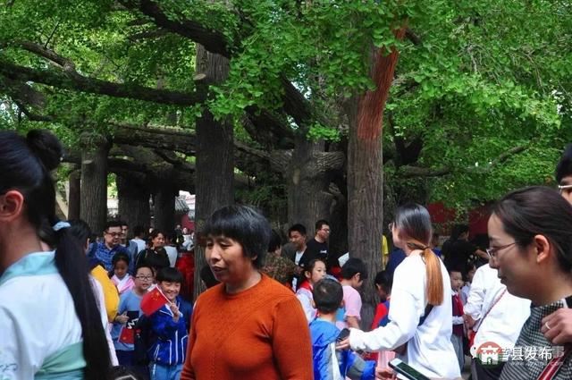 國慶假期莒縣最新“旅行情報圖”，為你泄密哪里“人從眾”