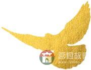 國慶假期莒縣最新“旅行情報圖”，為你泄密哪里“人從眾”