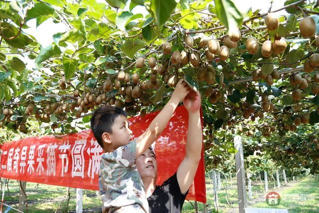 國慶假期莒縣最新“旅行情報圖”，為你泄密哪里“人從眾”